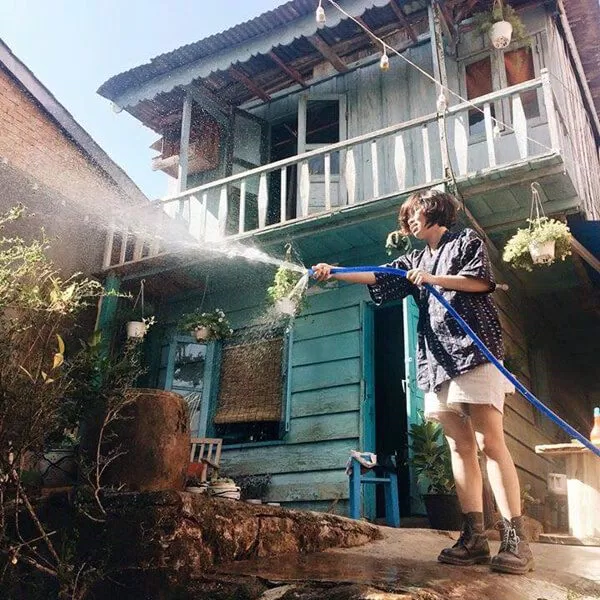 Bạn có thể tự mình chăm sóc cây trong vườn vào mỗi sáng