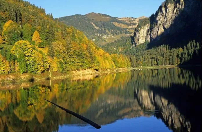 Vẻ đẹp ngỡ ngàng của hồ Lac Montriond (Ảnh internet)