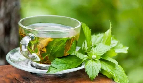 xông hơi bằng trà xanh