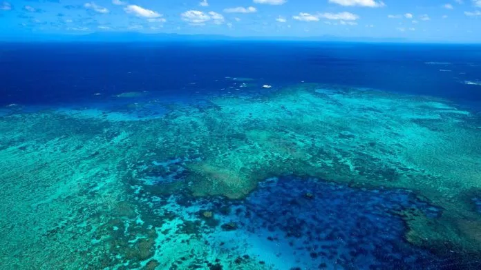 Great Barrier Reef island