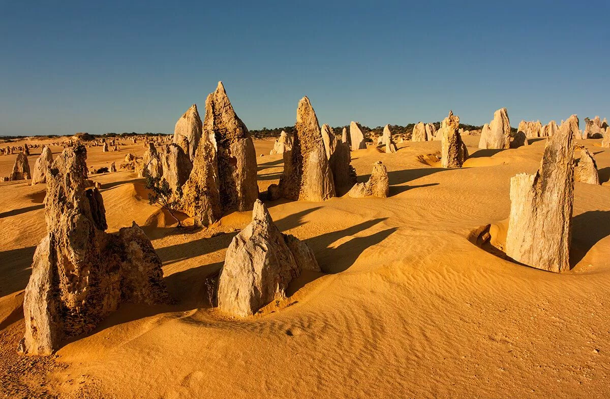 Sa mạc Pinnacles