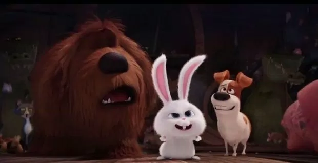 The secret life of pets