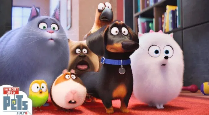The secret life of pets