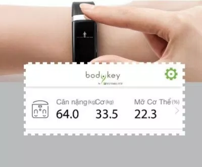 Inbody BAND