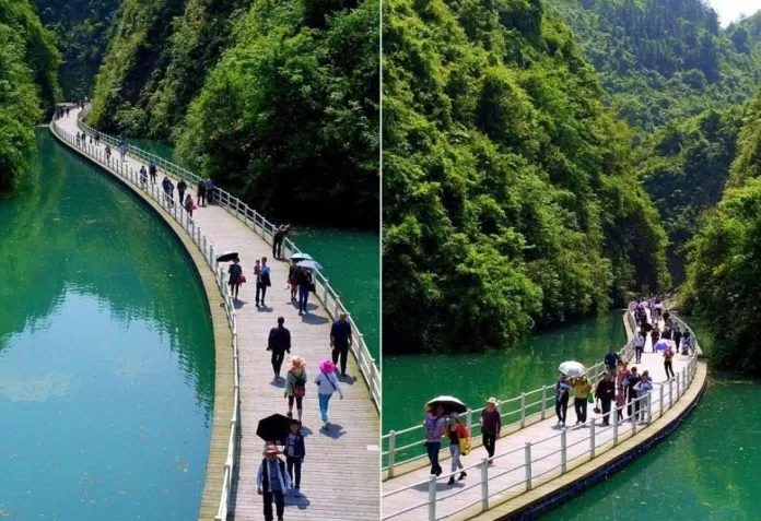 cầu trên sông