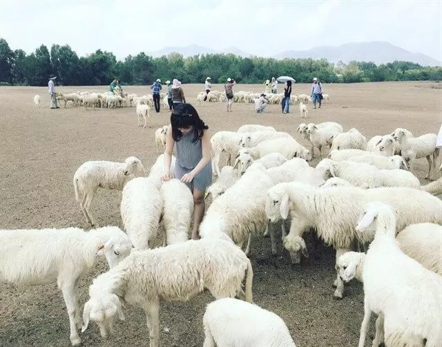 Ảnh: internet