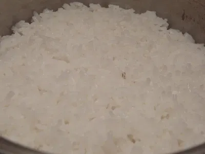 gạo nhật