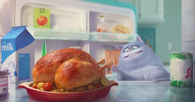 The secret life of pets