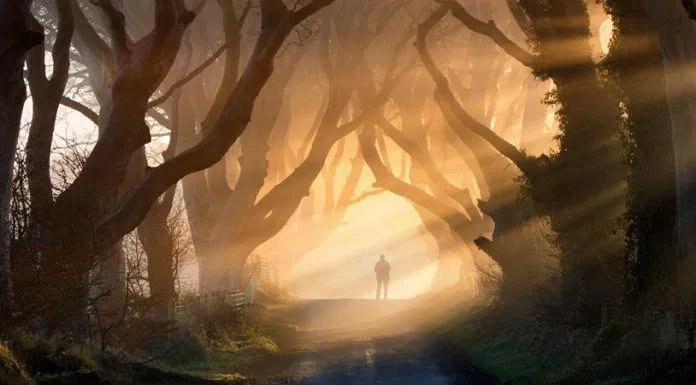 Hàng cây Dark Hedges phim Game of Thrones
