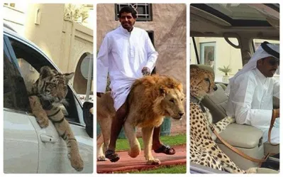 Hình ảnh bá đạo ở Dubai