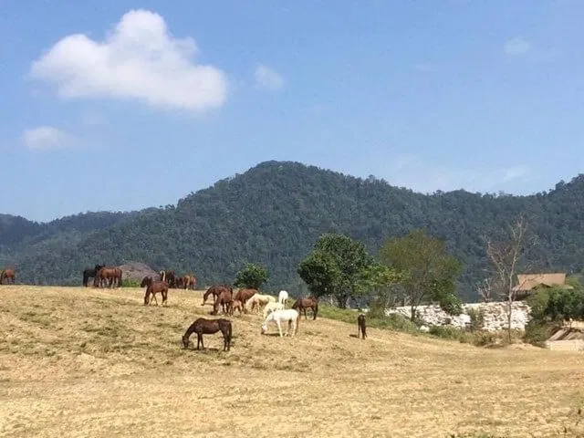 Dubai giữa lòng Tây Nguyên