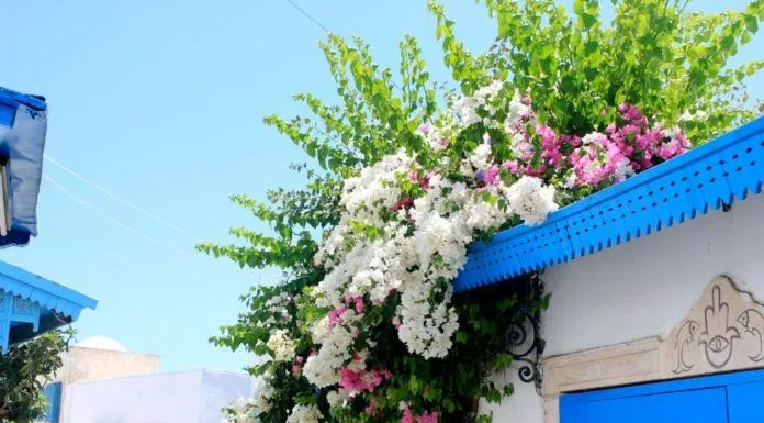 Làng Sidi Bou Said