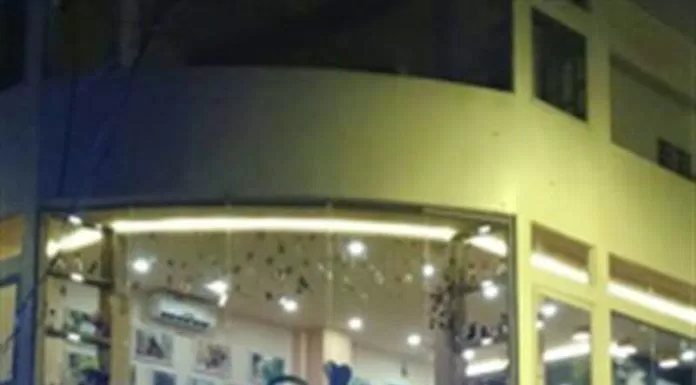 Top 5 quán cafe cùng thú cưng hấp dẫn teen Sài Thành