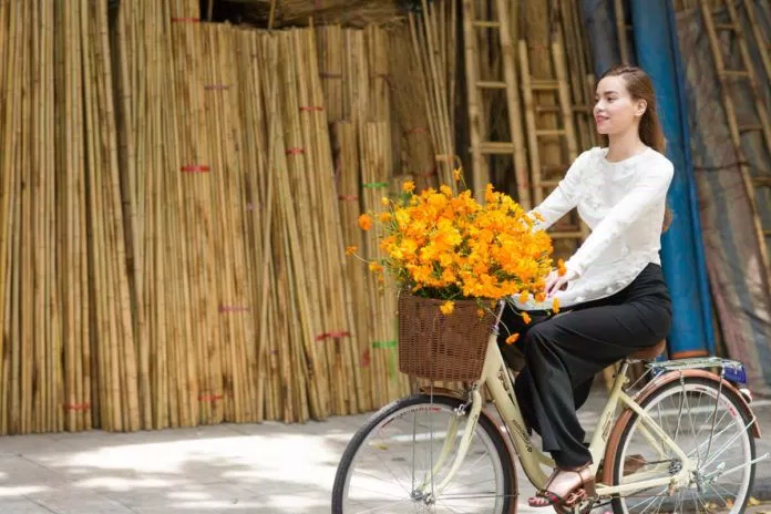 Hồ Ngọc Hà