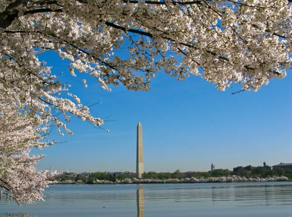 Điểm đến ở Washington D.C