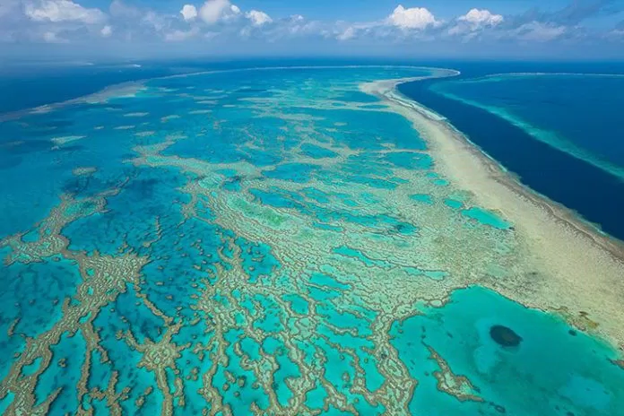 great barrier reef in Australia