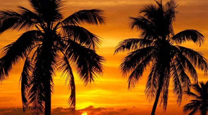 Hoàng hôn biển Key West