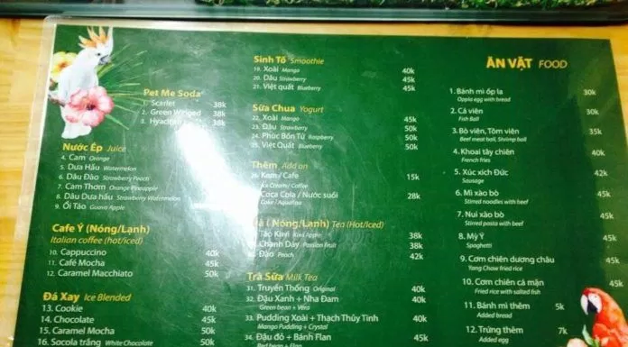 Top 5 quán cafe cùng thú cưng hấp dẫn teen Sài Thành