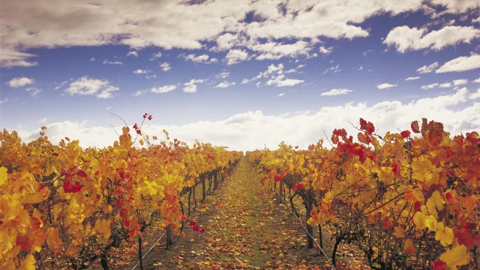 mùa thu nước úc