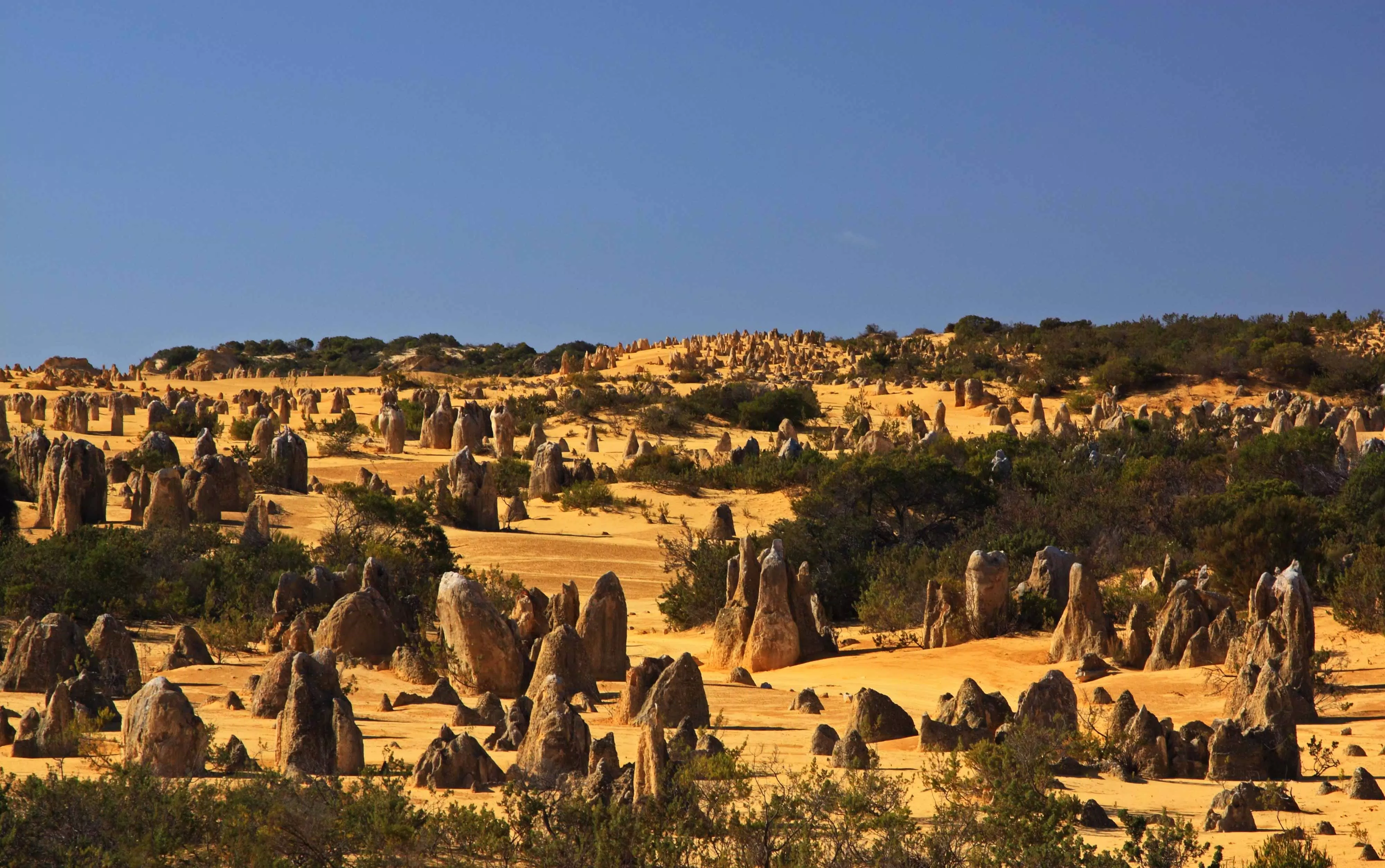 Sa mạc ở Nambung