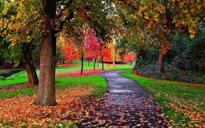 autumn