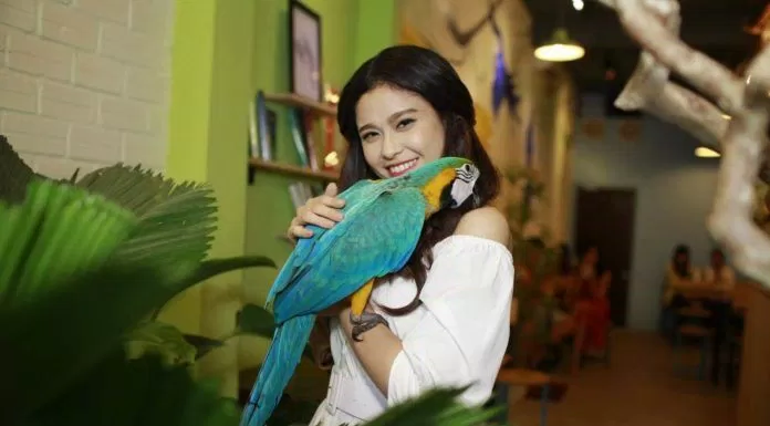 Top 5 quán cafe cùng thú cưng hấp dẫn teen Sài Thành