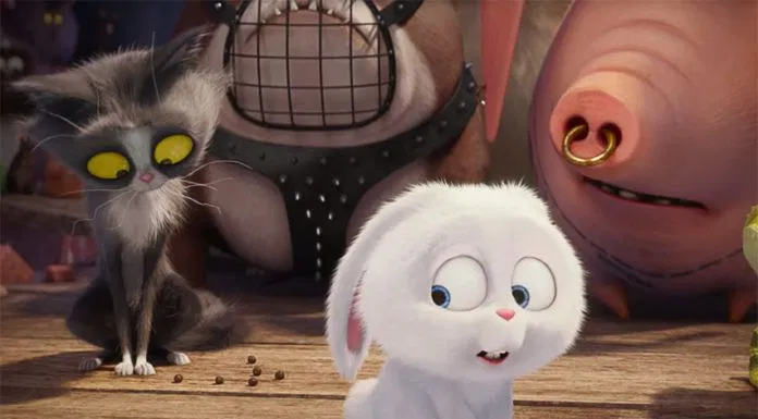 The secret life of pets