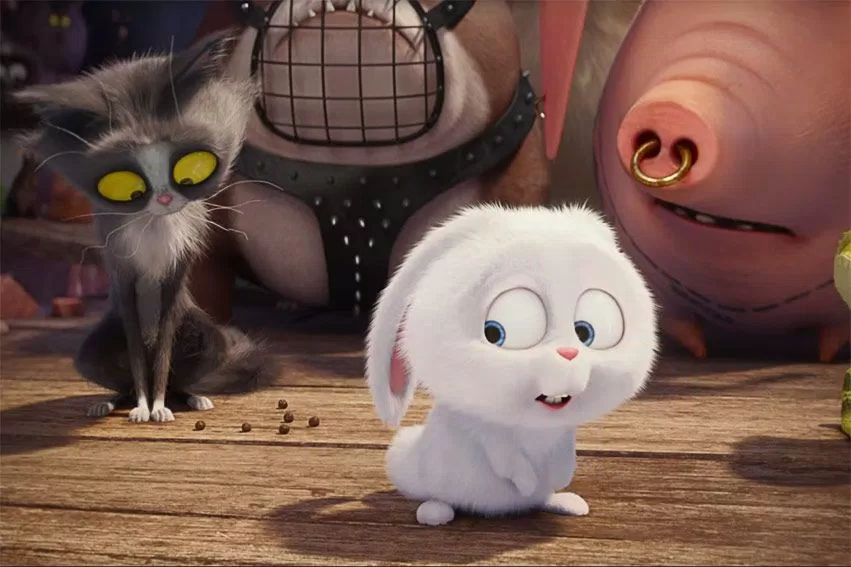 The secret life of pets