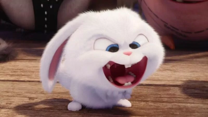 the secret life of pets