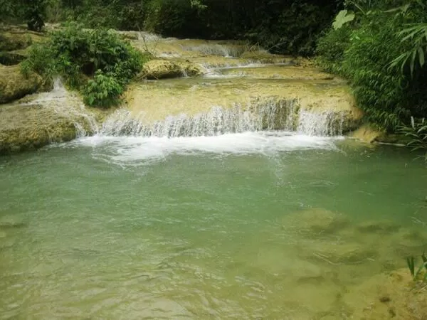 Ảnh internet