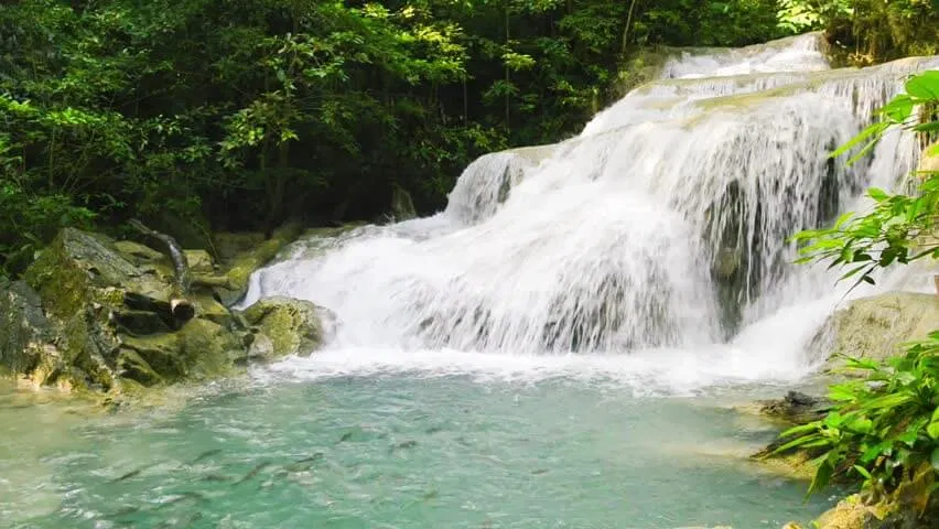 Trắng xóa cả một vùng trời! (ảnh: internet)