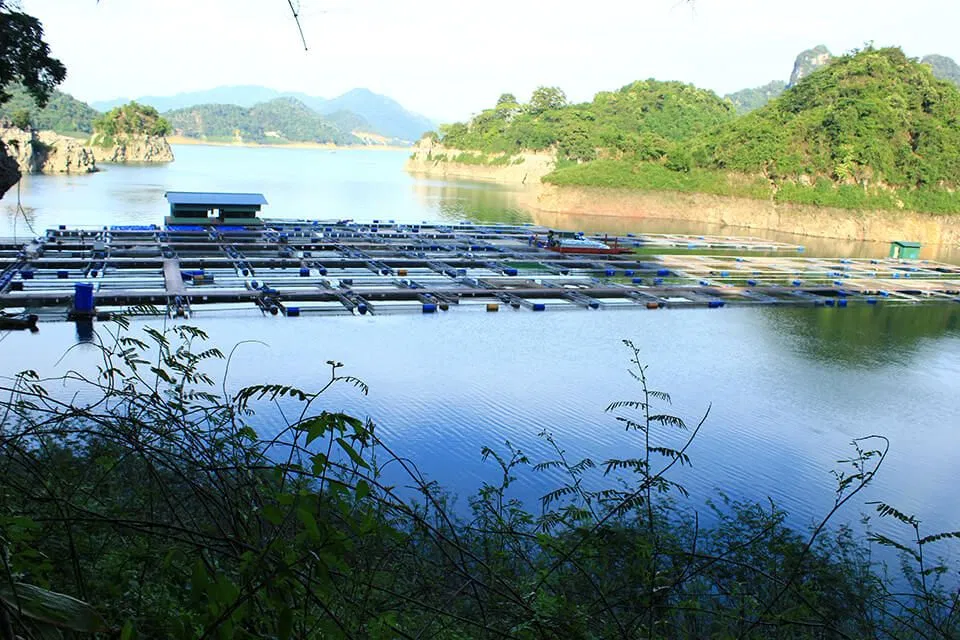 Một trang trại ở đây (ảnh: internet)