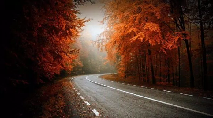 Cung đường đẹp một cách bí ẩn và yên tịnh, lá cây chuyển màu, rất đáng là nơi nhìn ngắm mùa thu ở Trung Âu. (ảnh: internet)