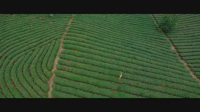 Việt Nam, đi, hôn và yêu