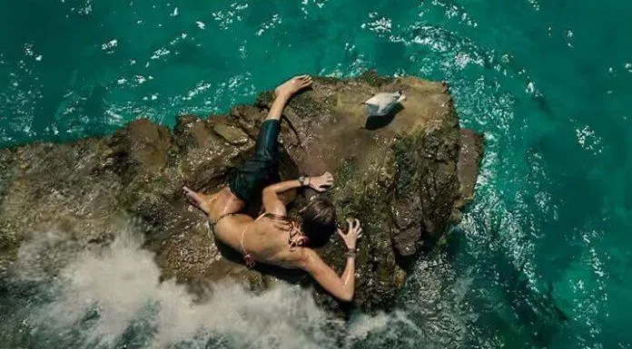 The Shallows