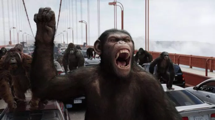 Apes