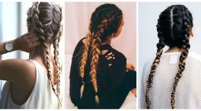 Boxer Braid