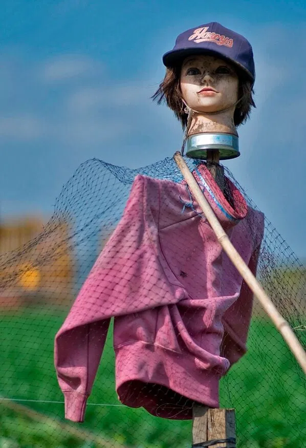 Bù nhìn ở Nhật Bản