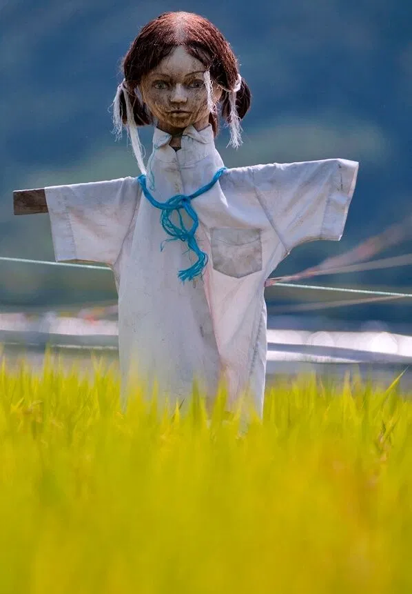 Bù nhìn ở Nhật Bản