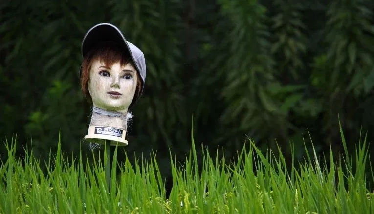 Bù nhìn ở Nhật Bản