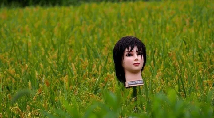 Bù nhìn ở Nhật Bản
