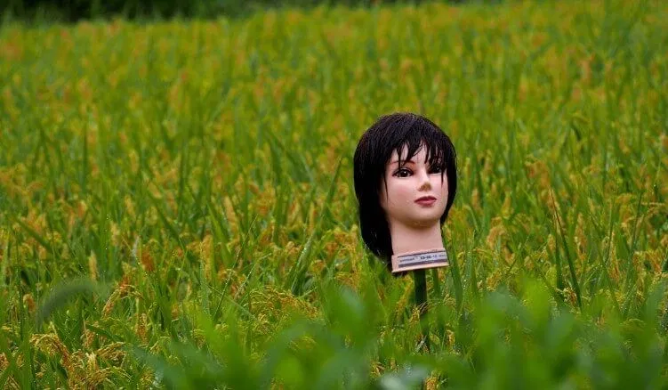 Bù nhìn ở Nhật Bản