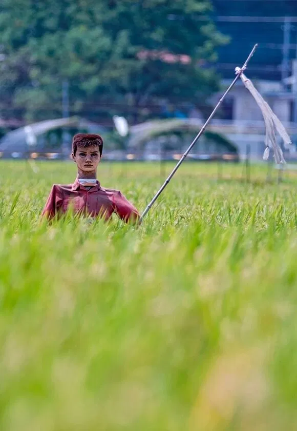 Bù nhìn ở Nhật Bản