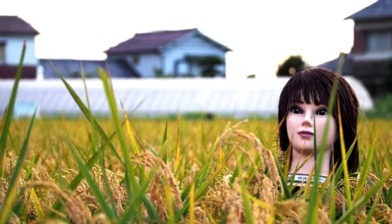 Bù nhìn ở Nhật Bản