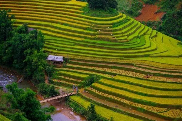 Du lịch Mù Cang Chải