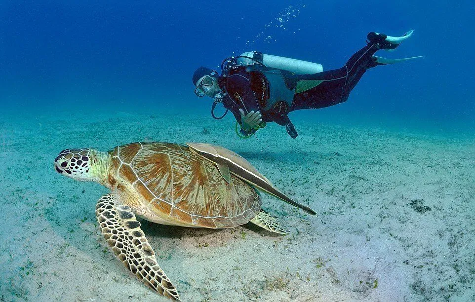 Du lịch Philippines