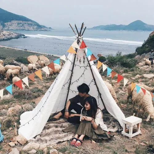 Cánh đồng cừu An Hòa