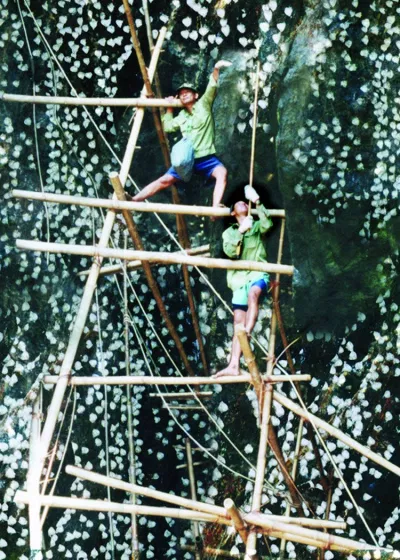 Hòn Nội