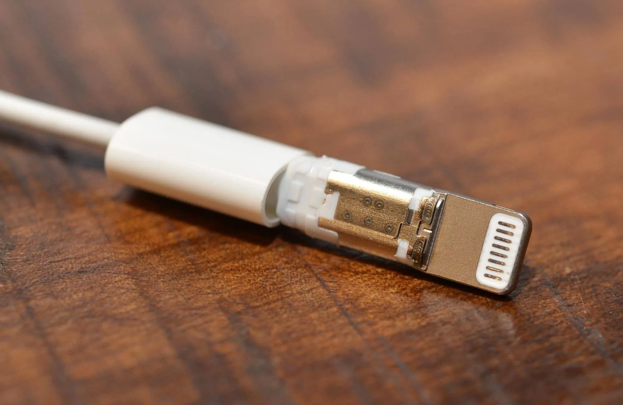 Bên trong đầu nhận cổng lightning của chiếc adapter (nguồn: tinhte.vn)