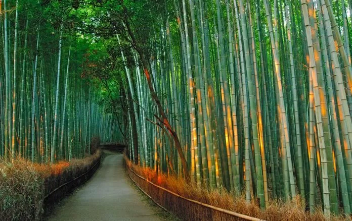 Kyoto